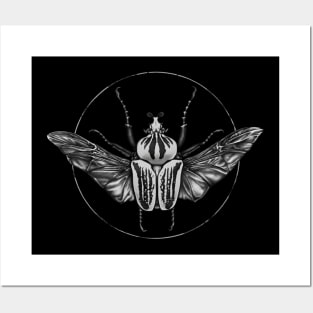 Goliath Beetle B&W Posters and Art